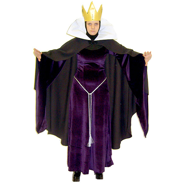 Ladies Evil Queen Sleeping Beauty Costume Size 10 - 12 Image